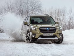 Чуть дальше в лес. Тест-драйв нового Subaru Forester