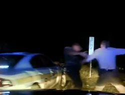 Tesla на автопилоте врезалась в полицейскую машину. Видео