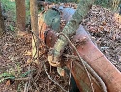 В США в лесу нашли заброшенный автосалон со старыми машинами. Фото