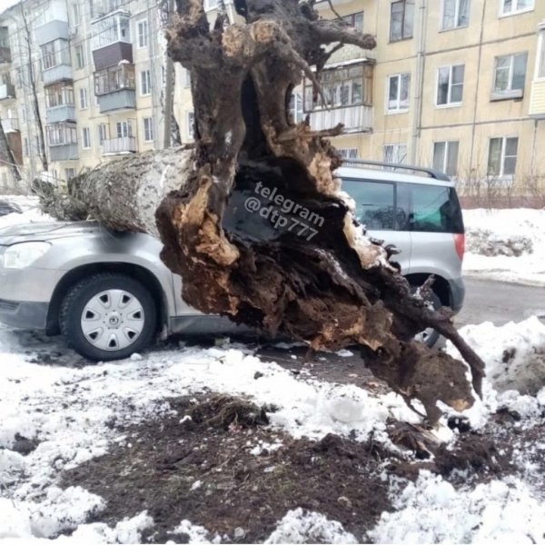 
            23 разбитых авто. Как снег и коммунальщики подставили владельцев машин
        
