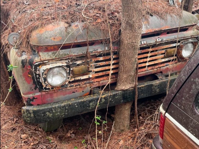 
            В США в лесу нашли заброшенный автосалон со старыми машинами. Фото
        