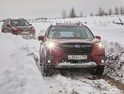 Егерь после «прокачки»: первый тест-драйв обновленного Subaru Forester