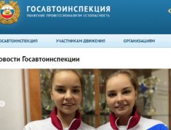 В России зафиксирован сбой в работе сайтов МВД и ГИБДД