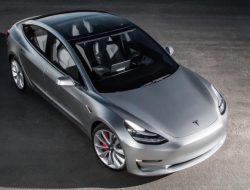 Tesla убрала радар с остальных двух моделей