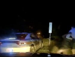 Видео: Tesla на автопилоте врезалась в полицейский автомобиль