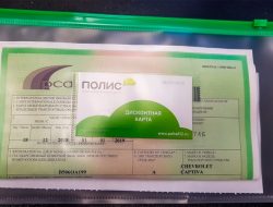 Автостраховка «Зеленая карта» перестанет действовать на Украине с апреля