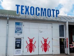 В ГИБДД рассказали, как накажут за изготовление поддельного техосмотра