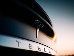 Tesla остановила выпуск автомобилей в Китае из-за коронавируса