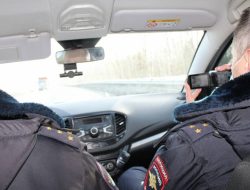 ГИБДД рассказала об эффективном способе поимки автохамов на дорогах