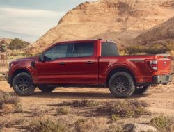Ford F-150 получил «простенькую» внедорожную версию