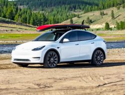 Первые Tesla с берлинской «Гигафабрики» торжественно вручили владельцам