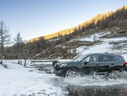 Subaru продолжила поставлять автомобили в Россию и сохранила цены