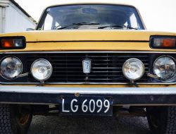 В Новой Зеландии нашли Lada Niva, которая простояла в сарае 26 лет
