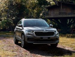 Skoda отзовет почти 2 тыс. кроссоверов Kodiaq в России