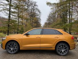 12 моделей Audi попали под отзыв в России