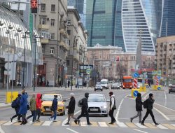 ГИБДД развенчала 5 мифов о пешеходах на дорогах