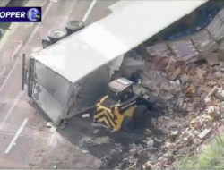 Из-за ДТП с фурой на трассу высыпалось 40 тысяч куриных наггетсов