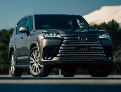 Toyota отзывает более 500 тысяч машин, в том числе новый Lexus LX