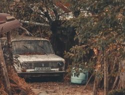 В России разрешат выпускать автомобили низшего экологического класса «Евро-0»