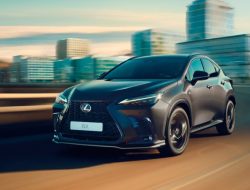 Lexus отзовет кроссоверы NX в России