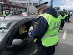 ГИБДД начала масштабную операцию в Подмосковье