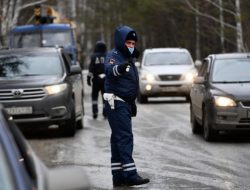 ГИБДД Москвы рассказала, сколько пьяных водителей ловят ежедневно