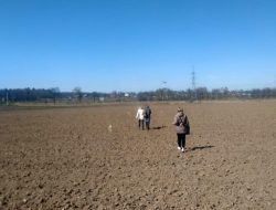 «Автотор» бесплатно раздаст сотрудникам землю под огороды