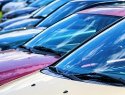 Какие автомобильные марки попали под параллельный импорт: список