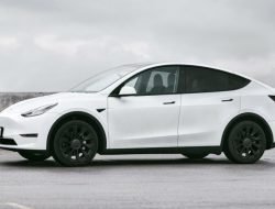 Когда появится Tesla, которая сможет ехать вообще без водителя