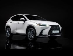 В России отзывают новые Lexus NX из-за ошибки на заводе