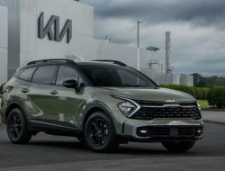 «Автотор» получил застрявшие в Польше запчасти Hyundai и Kia