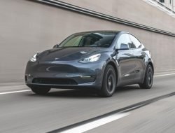 Tesla Model Y возглавила рейтинг любимых электрокаров россиян