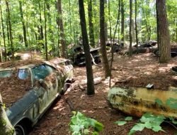 Виртуальный тур по одной из крупнейших свалок классических автомобилей