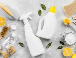 Направления сертификации продукции: юридическое сопровождение по доступным ценам